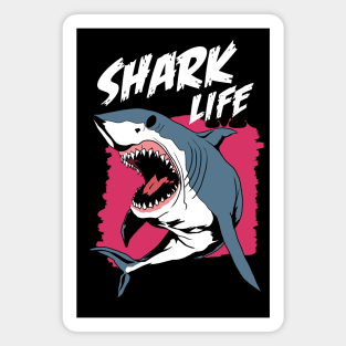Shark Life Magnet